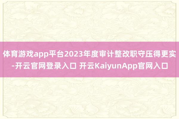 体育游戏app平台2023年度审计整改职守压得更实-开云官网登录入口 开云KaiyunApp官网入口
