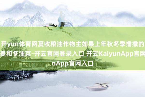 开yun体育网夏收粮油作物主如果上年秋冬季播撒的冬小麦和冬油菜-开云官网登录入口 开云KaiyunApp官网入口