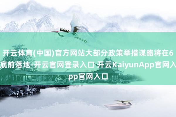 开云体育(中国)官方网站大部分政策举措谋略将在6月底前落地-开云官网登录入口 开云KaiyunApp官网入口