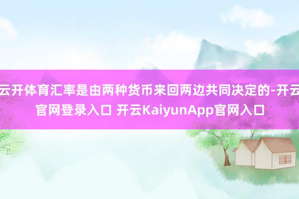 云开体育汇率是由两种货币来回两边共同决定的-开云官网登录入口 开云KaiyunApp官网入口
